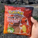 강원도힐링캠핑장 이미지