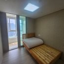 에코라엘 이미지