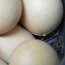 찜질방 구운달걀 압력솥으로 만들기 이미지