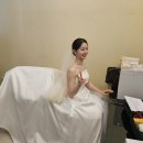 뷔페다미 | wedding D-DAY④ㅣ스타시티아트홀 본식 후기ㅣ더러비엔 본식스냅과 함께