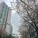 RM메디 | 평발교정 깔창 메디풋 2년차 내돈내산 후기