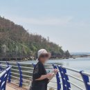 해안둘레길 화장실 | 포항 호미반도 해안둘레길 2코스 (하선대~선바우)코스 후기