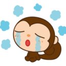 다린참치