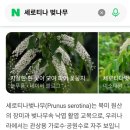 산청동물의료센터 이미지