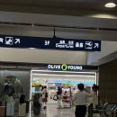신나는 한글 여행 “용궁으로 간 한글” | 웨이하이 여행 1일차 | 제주항공 7C8503 체크인, 웨이하이 공항에서 시내, 한러팡 야시장 음식 추천
