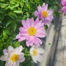 스마일안경마트 이미지