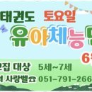 기품태권도장 이미지