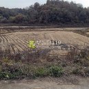 정자리농장 이미지