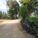 상예동-1 이미지