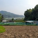 양지-2853 이미지