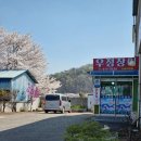 우정장어 이미지