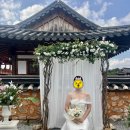 스몰웨딩 드레스 추천, 블레스올데이즈 '지젤' 내돈내산 후기 (한옥웨딩 실착)