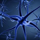 연세오상병원 이미지