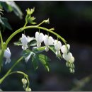 오늘하루가 이미지