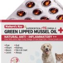 네이쳐스키 이미지