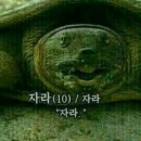 자라 Daum카페