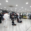 네오블랙벨트 이미지