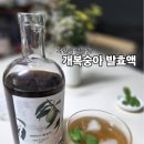 좋은효소 - 해운대구 | 개복숭아 발효액. 목감기에좋은 효소 구입후기
