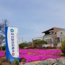 덕산보건진료소 이미지