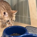 한사랑동물의료센타 동물병원 이미지