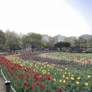 어반스케치 일러스트 이미지