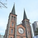 마당이수목원(느티나무동) | 나무 - 옛 성현 지혜와 숨결 전해 주는 유서 깊은 대구 나무 이야기