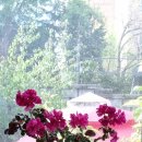 스테이 서종 이미지