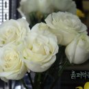 릴리안플라워 이미지