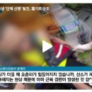 34도 폭염 속 고교생 '단체 산행' 탈진..헬기로 구조 이미지