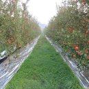 광덕1로11 이미지