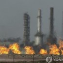 (주)다우국제 이미지