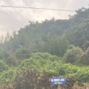 더 레이크 서지 이미지