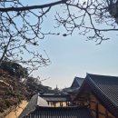 가람5단지 맞은편 버스정류장 | 경주여행 - 석굴암, 불국사, 보문관광단지 방문 후기 / 첨성대 미디어아트 쩌럿다