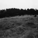 상모리-28 이미지