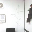 두그루나무 이미지