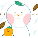 수지세탁 이미지