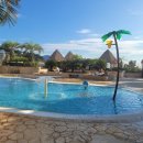 라테라스 이미지