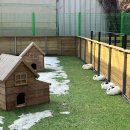 순진목장 | [화순 여행지 추천] 양 먹이 주는 체험할 수 있는 무등산 양떼목장 방문 후기