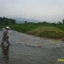 천마한옥민박 이미지