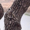 금강공원2 이미지