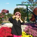 경인아인스 이미지