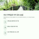 작은숲쉼터