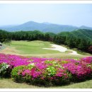 제이레저 (주) 네이버블로그