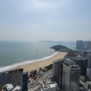 아미티스 이미지