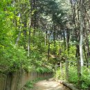 신씨네마을 이미지