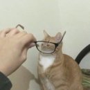 큐브탑만화보드카페