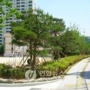 고산초교 이미지