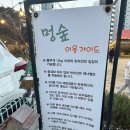 멍스팟 | 부산 동래구 강아지 운동장 댕댕이를 위한 도심속의 힐링스팟 멍숲 내돈내산 후기