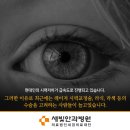 새빛안경콘택트