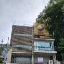 수서 맛집 늘복집 수서본점 참복 사시미자복코스 후기｜강남 복어요리 코스 추천